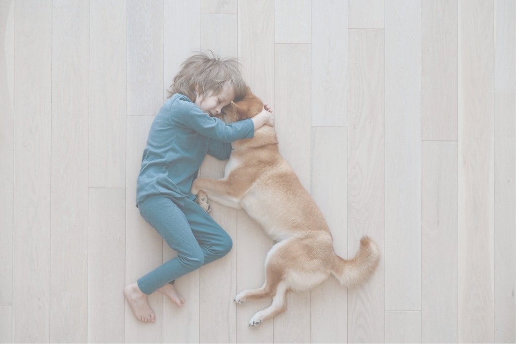 Pet-Friendly flooring