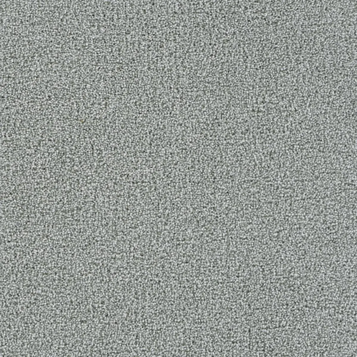 Cozy bedroom with neutral speckled plush carpet.