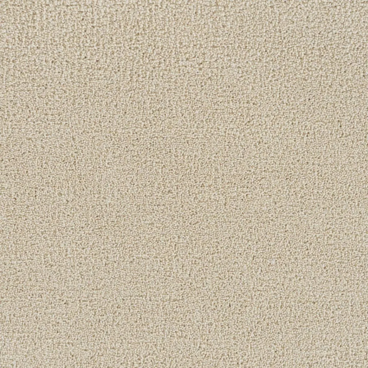 Residential hallway featuring textured carpet with a subtle linear pattern.