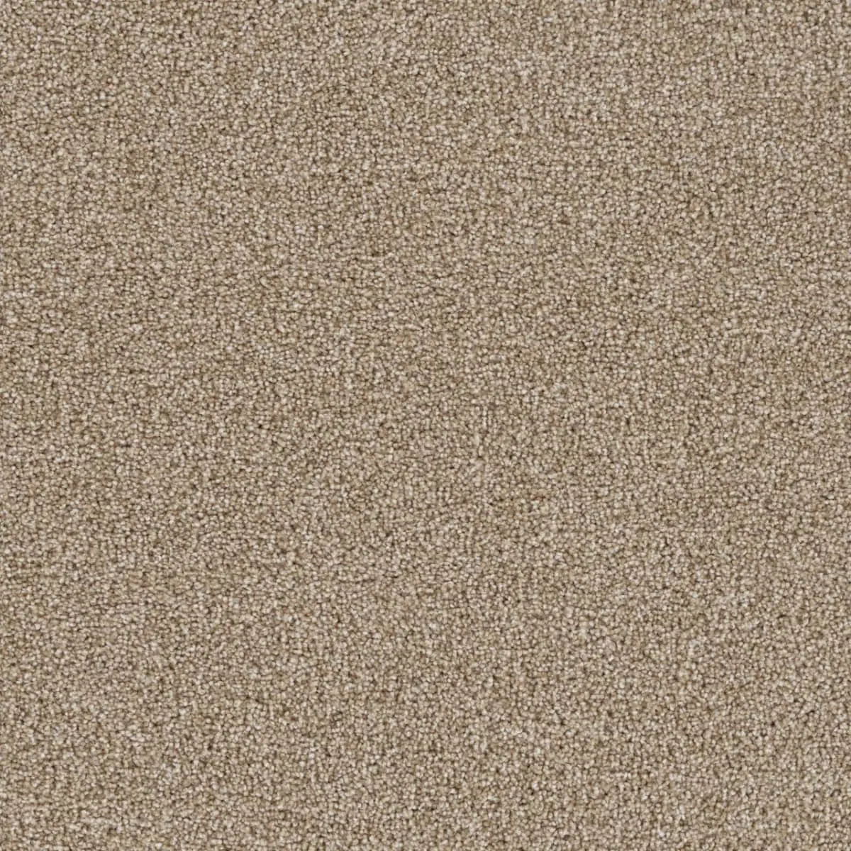 Contemporary living area with seamless cool grey plush carpeting.