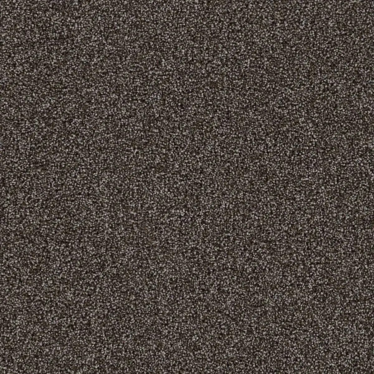 Formal sitting room with a diamond-patterned earth tone carpet.